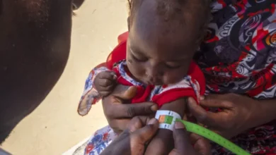 مخاوف أممية من مقتل أكثر 100 شخص بينهم كوادر منظمات دولية في مدينة الفاشر في دارفور