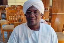 الحكومة السودانية: "الدعم السريع" أحرقت 270 قرية في شمال دارفور